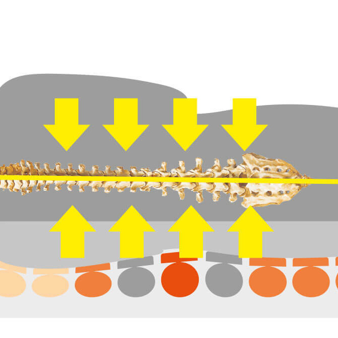 Körper liegt auf einer Matratze, die die Wirbelsäule ideal entlastet und somit Rückenschmerzen vorbeugt/lindert.